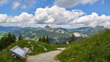 Naučná stezka Neunerköpfle, © TVB Tannheimer Tal / Achim Meurer