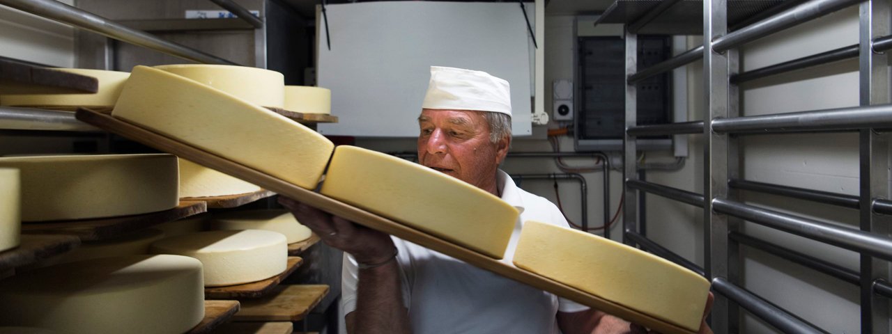 Vlastní výroba sýrů