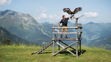 Park dravců na Ahornu, © Mayrhofen Bergbahnen