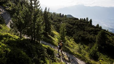 Stezka Zirbenweg, © Region Hall-Wattens/Daniel Zangerl