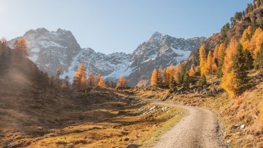 Krajina poblíž  Tiefental-Alm, © Jannis Braun