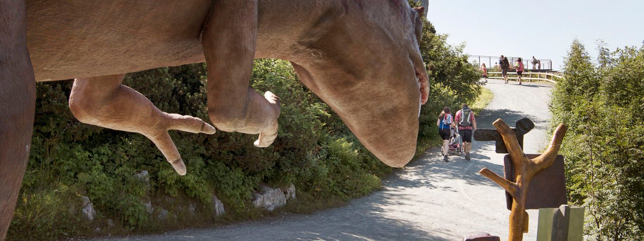 Na naučné stezce, © Tirol Werbung/Frank Bauer