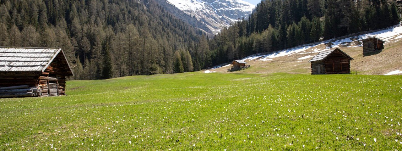 Jaro v údolí Pfundser Tschey, © Tirol Werbung/Marion Webhofer