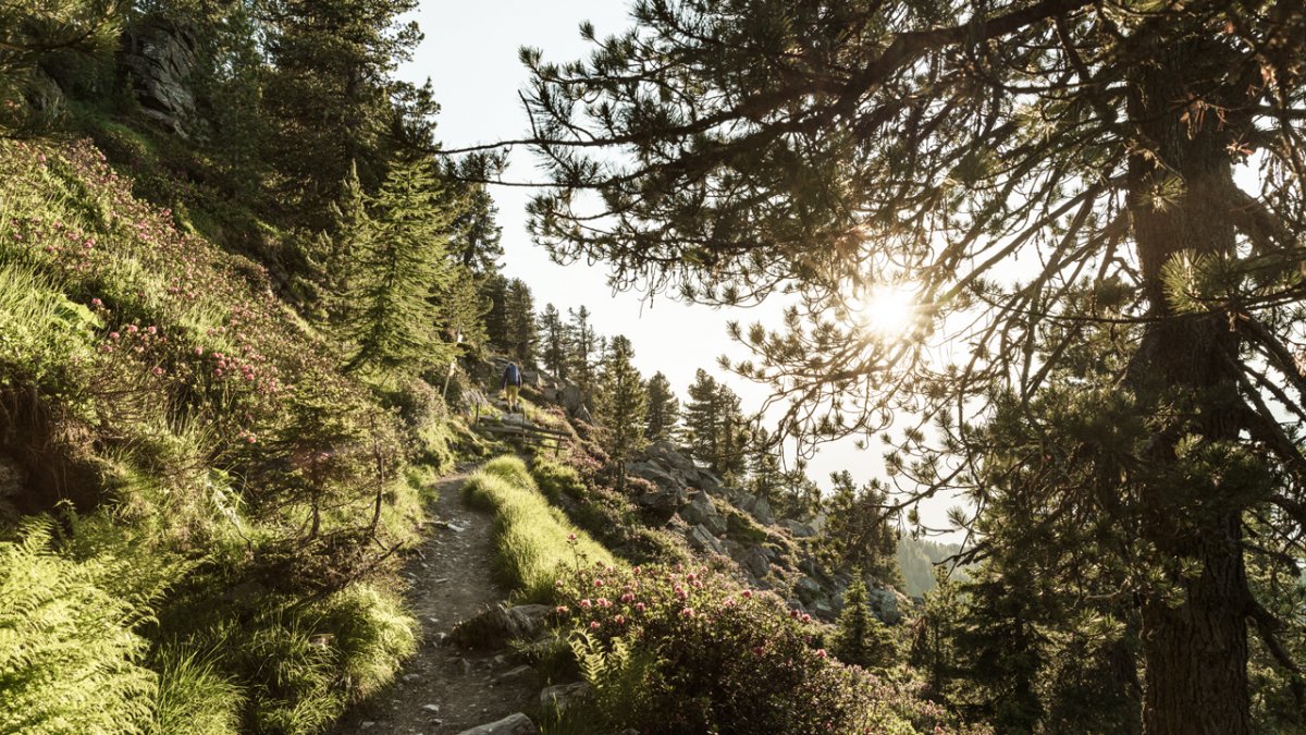 Na stezce Zirbenweg