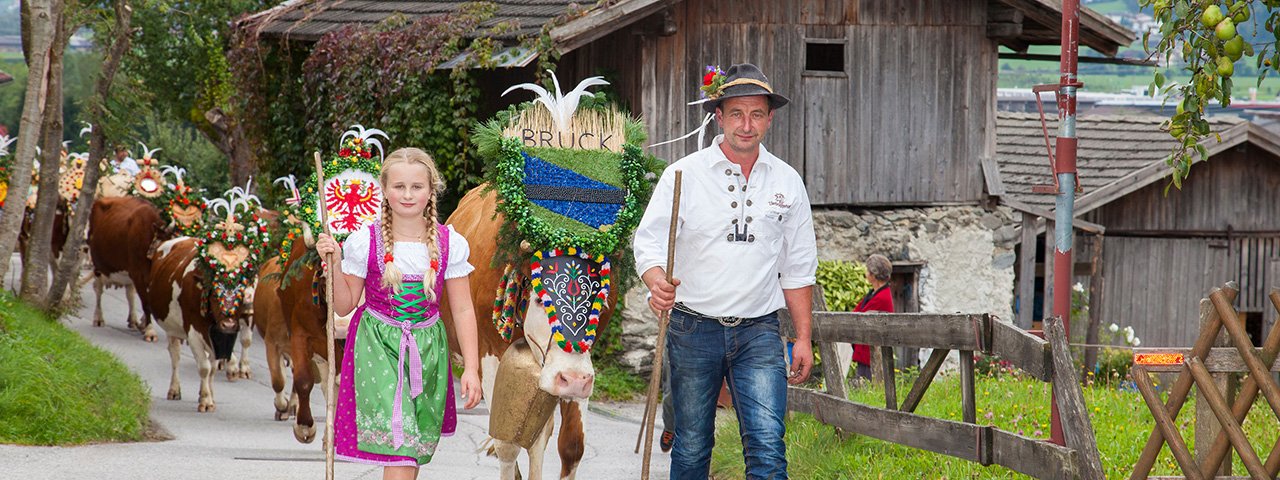 Dobytek se vrací z alpských pastvin slavnostně vyzdobený, © Erste Ferienregion im Zillertal / Walter Kraiger